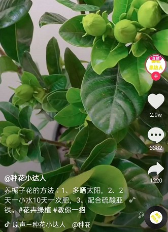 �������၆�F���Ĳ���֮�x���S�ҿ���(li��n)ϵ�Ԓ��13838587319 �O��(j��ng)��