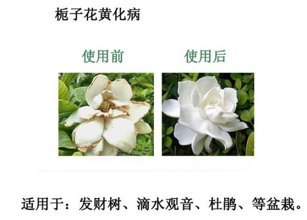 �������၆�F���a(ch��n)�S�������a(ch��n)�|(zh��)��(y��u)�r(n��ng)�I(y��)�����၆�F�����a(ch��n)�S���Ԓ��13838587319