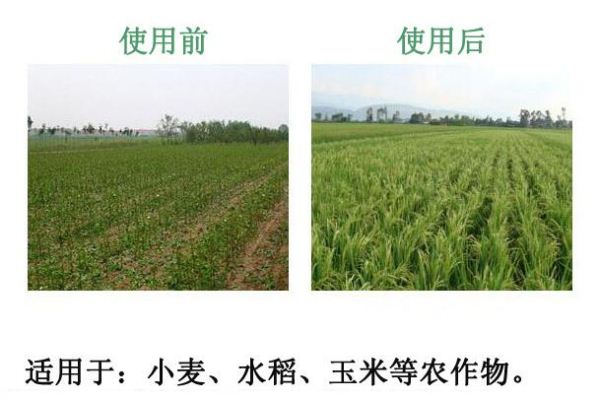 С��ʹ�������r(n��ng)�I(y��)�����၆�F�������������r��ԃ13838587319