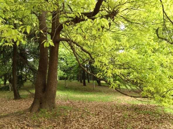 �������၆�F��ֹ�����~Ƭ�S��Ч���ܸܵ����Ԓ��13838587319 �O��(j��ng)��